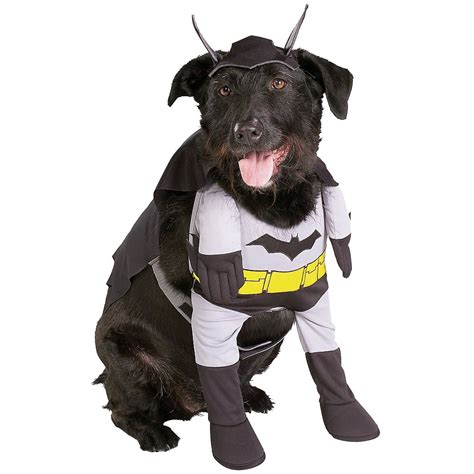 dog in bat costume|batman costume for small dogs.